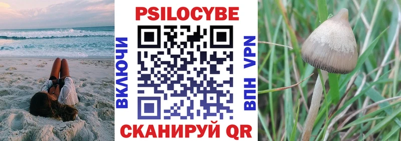 Галлюциногенные грибы мицелий  Тобольск 